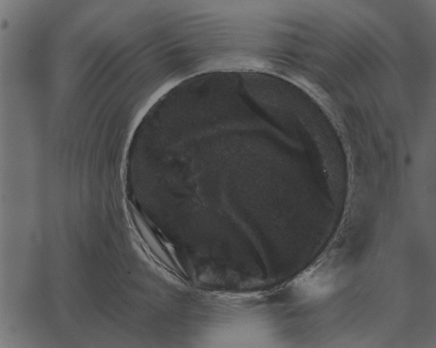 X0000062650864200601111150