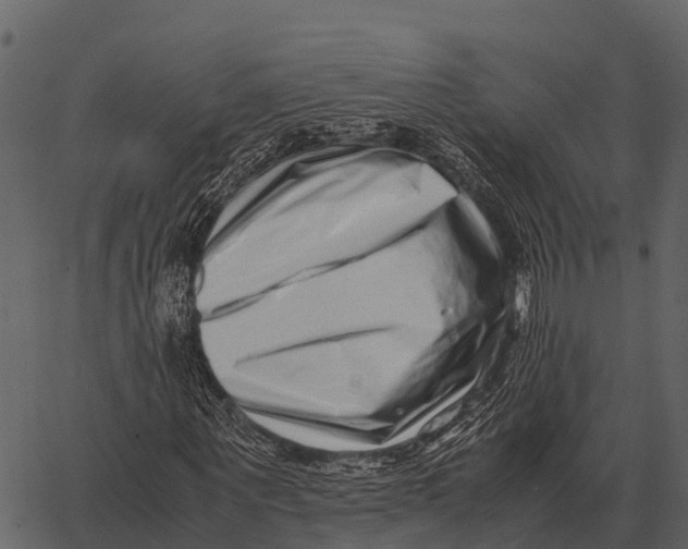 X0000062650867200601111149