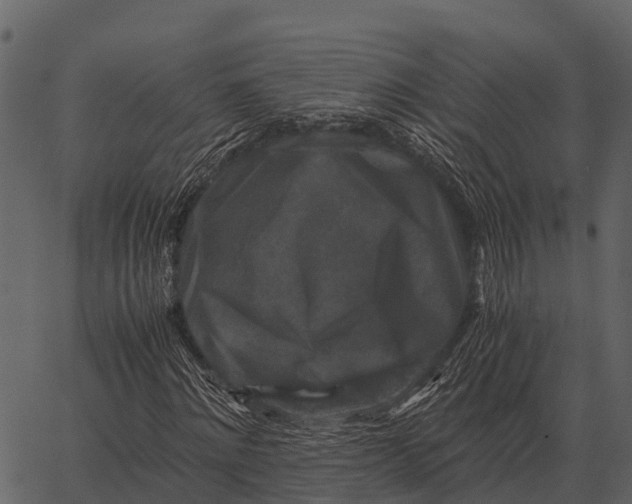 X0000062650868200601111149