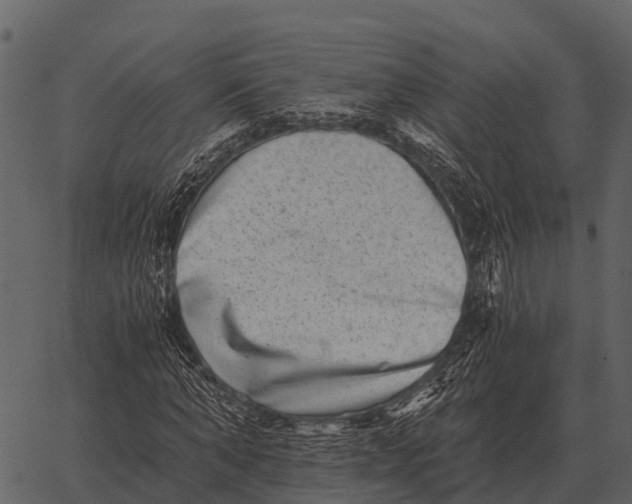 X0000062650870200601111149