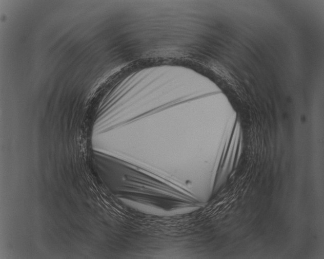 X0000062650872200601111149