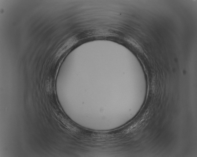 X0000062650873200601111149