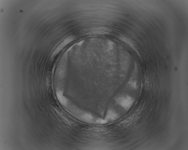 X0000062650874200601111149