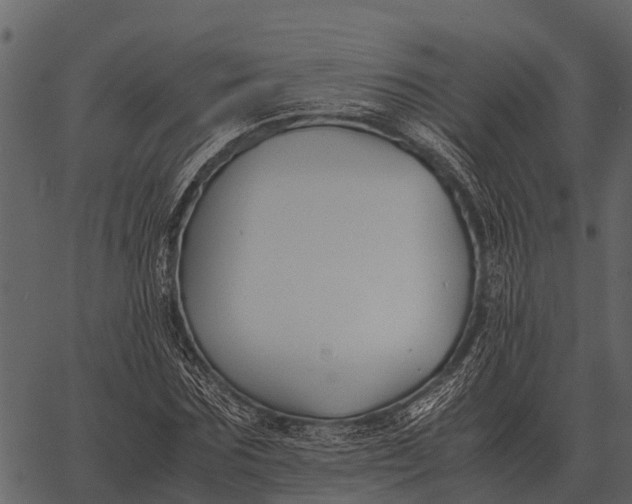 X0000062650875200601111149