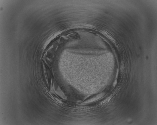 X0000062650877200601111149