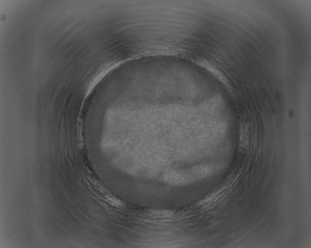 X0000062650878200601111149