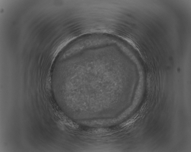 X0000062650879200601111149