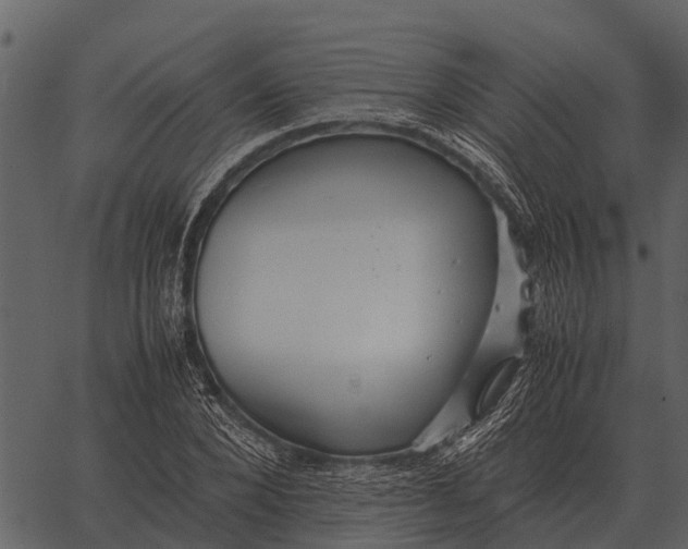 X0000062650880200601111149