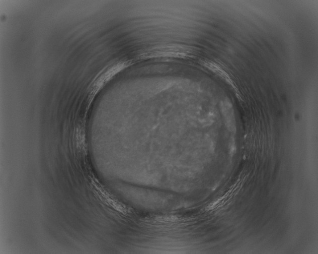 X0000062650882200601111149