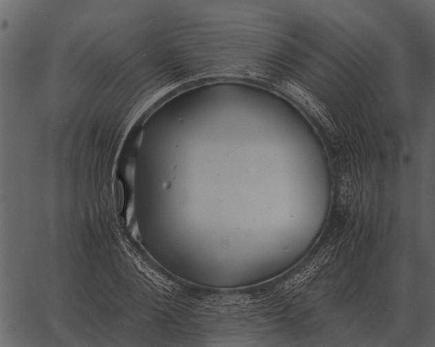 X0000062650884200601111149