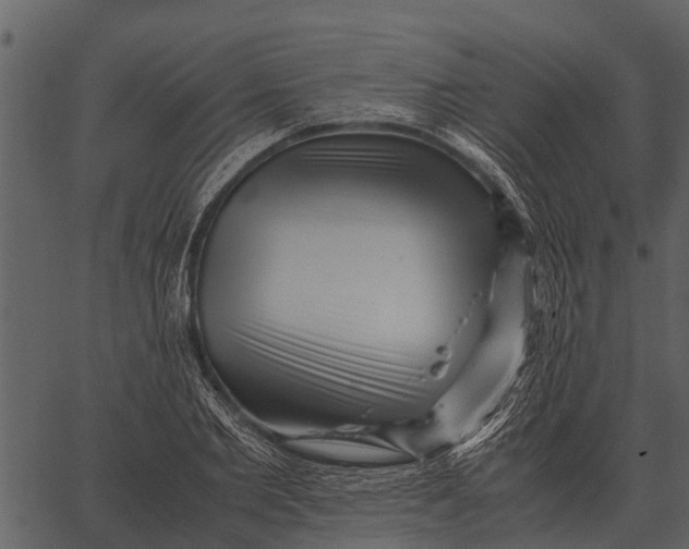 X0000062650885200601111149