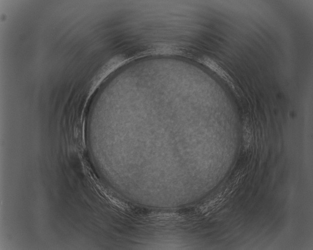 X0000062650886200601111149