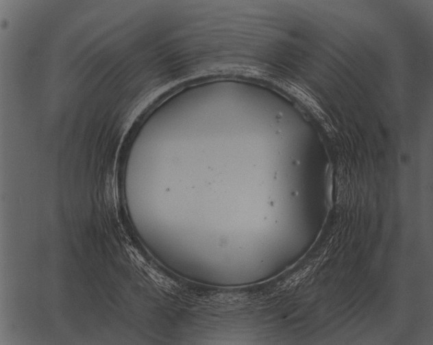 X0000062650888200601111149