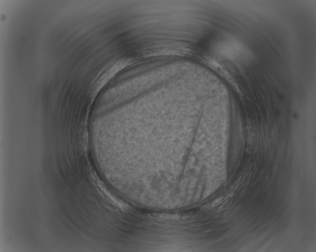 X0000062650890200601111149