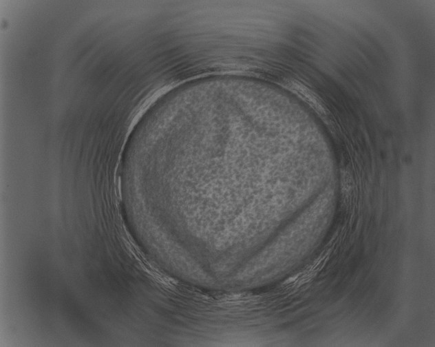 X0000062650891200601111149