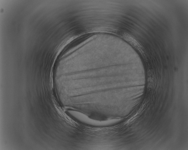 X0000062650892200601111149