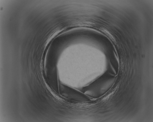 X0000062650893200601111149