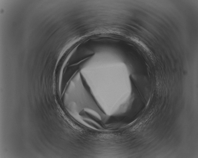 X0000062650894200601111148