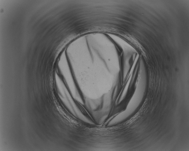 X0000062650896200601111148