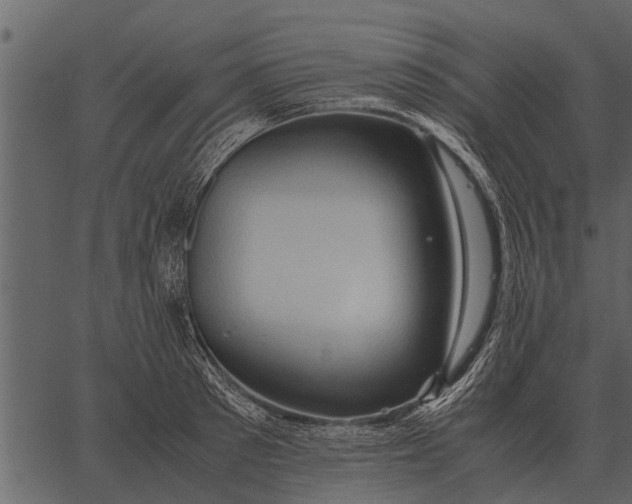 X0000062650897200601111148