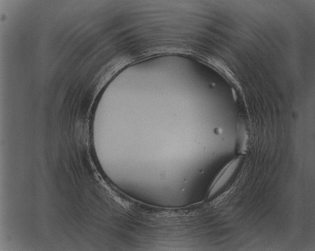 X0000062650898200601111148