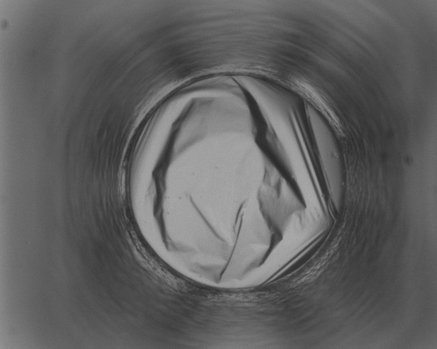 X0000062650900200601111148