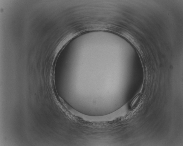 X0000062650901200601111148