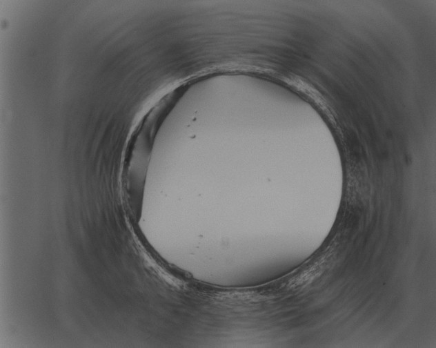 X0000062650902200601111148