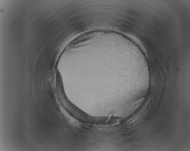 X0000062650903200601111148