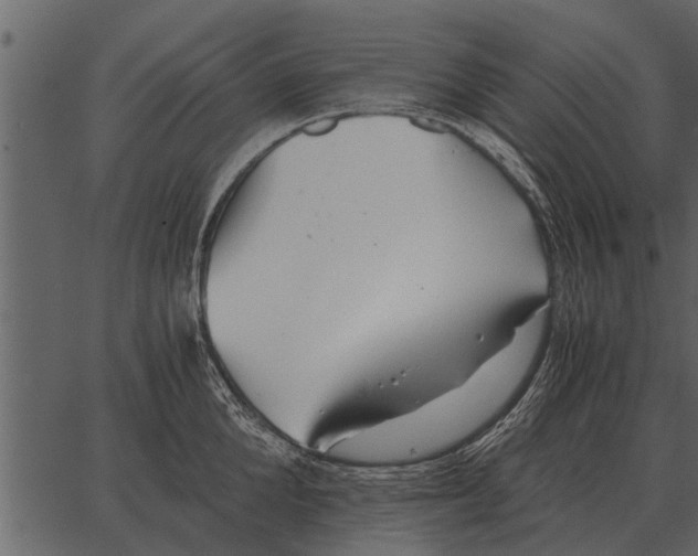 X0000062650904200601111148