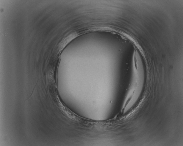 X0000062650905200601111148