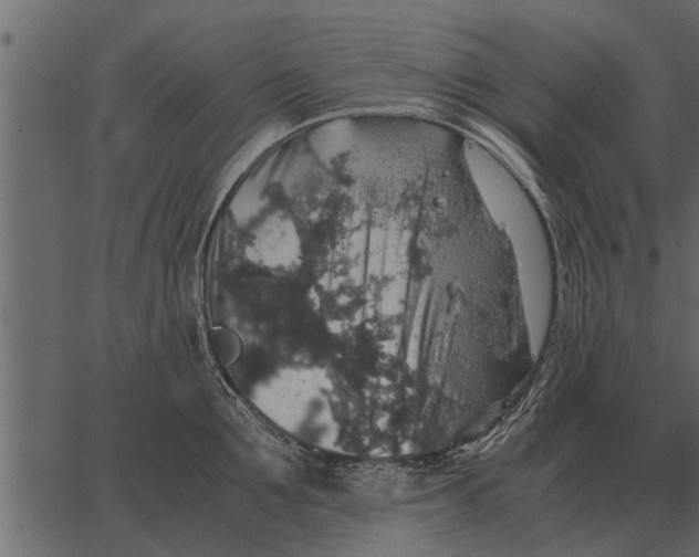 X0000062650907200601111148