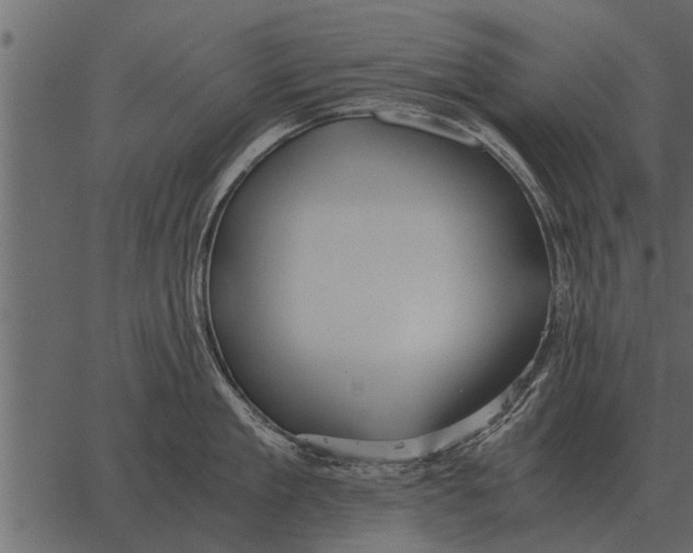 X0000062650909200601111148