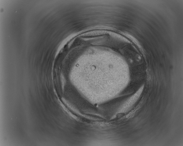 X0000062650910200601111148