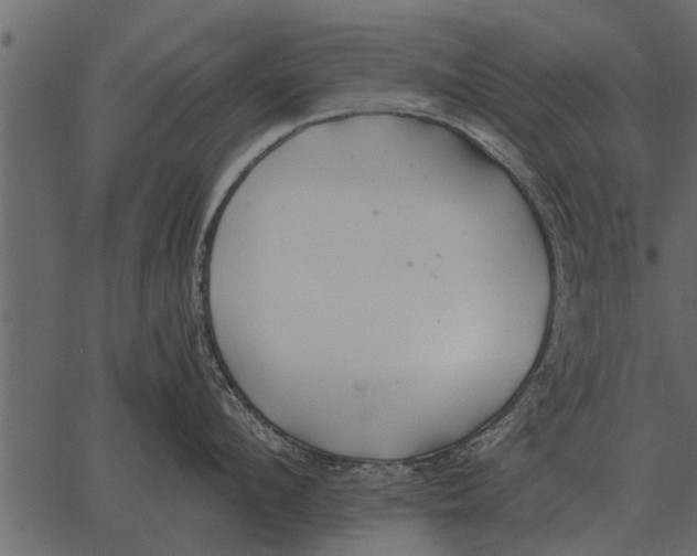 X0000062650912200601111148