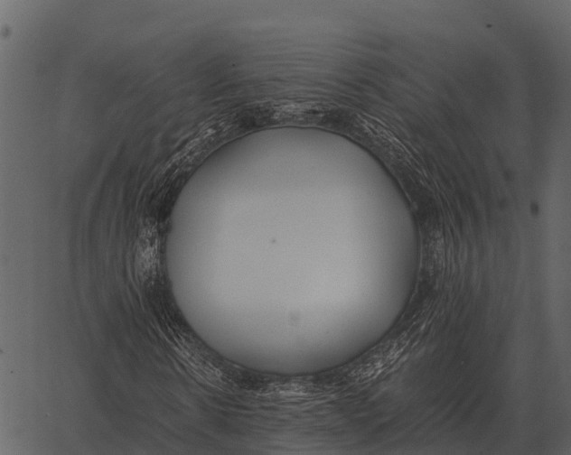 X0000062650914200601111147