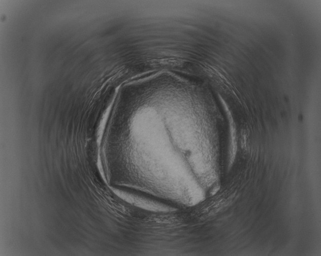 X0000062650915200601111147