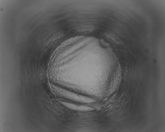 X0000062650917200601111147