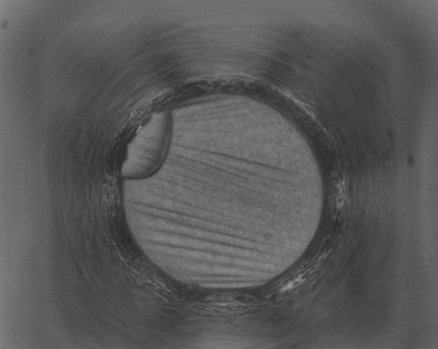 X0000062650918200601111147