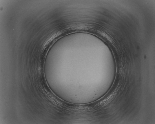 X0000062650922200601111148