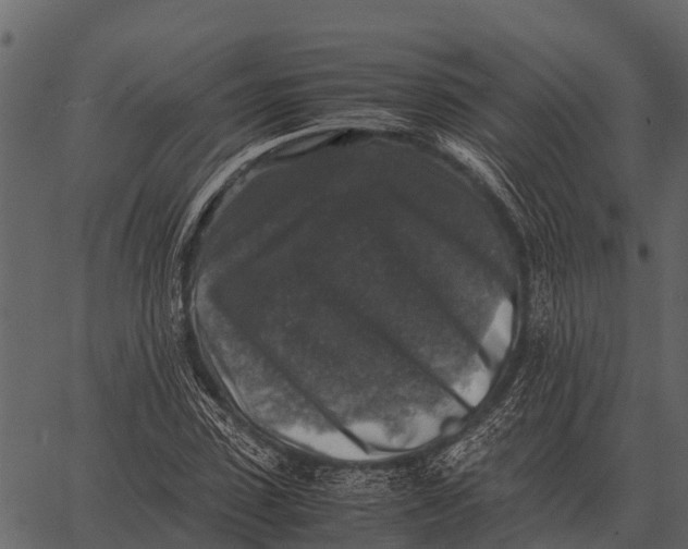 X0000062650923200601111148