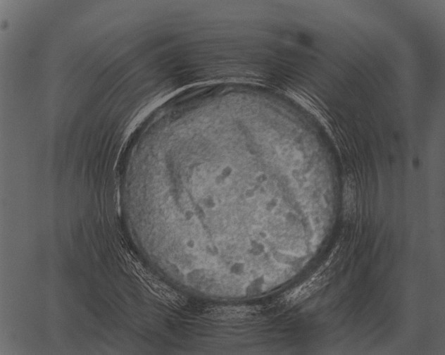 X0000062650925200601111148