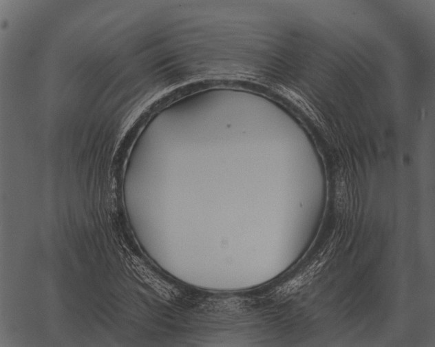 X0000062650926200601111148