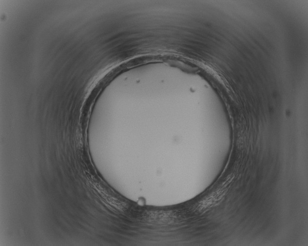 X0000062650927200601111148