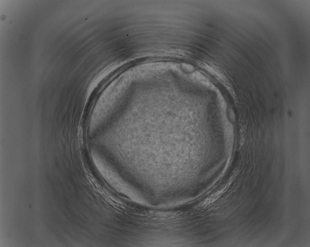 X0000062650928200601111148