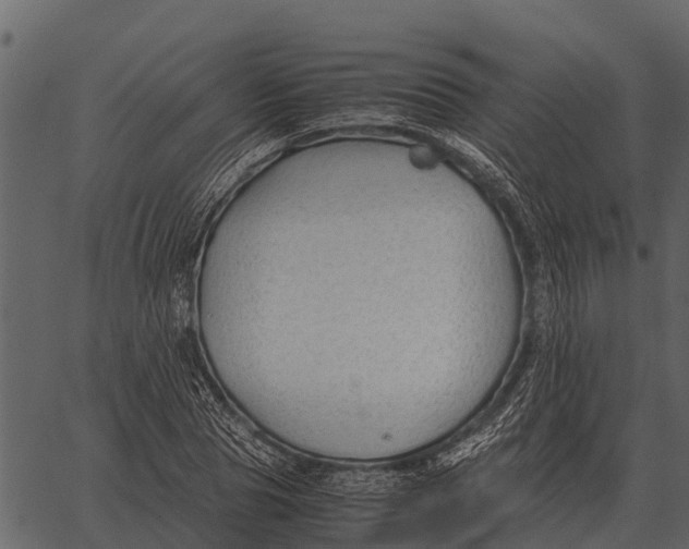 X0000062650929200601111148