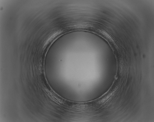 X0000062650930200601111148