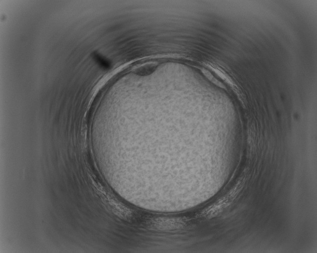 X0000062650933200601111148