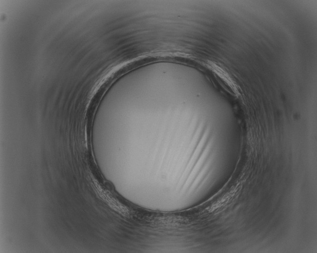 X0000062650934200601111148