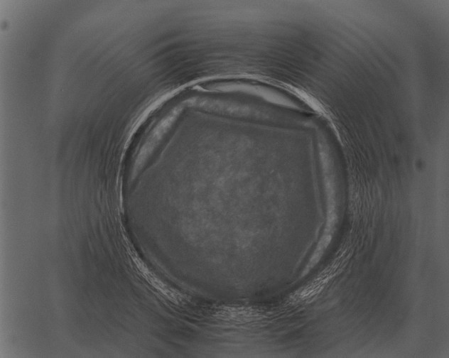 X0000062650935200601111148